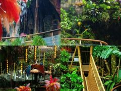 -正佳雨林生态植物园