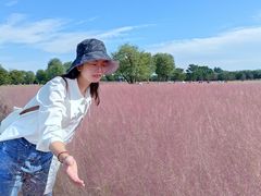 -汉长安城未央宫国家考古遗址公园