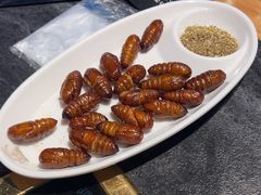 -杨记齐齐哈尔烤肉(五莲路店)
