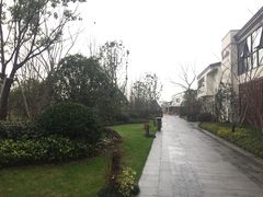 -水月周庄铂尔曼酒店 · 漾全日餐厅