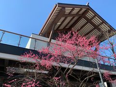 -广富林郊野公园