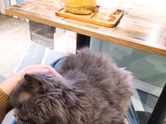 -小时光咖啡馆(开森度假森林店)