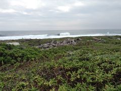 -龙坑生态保护区