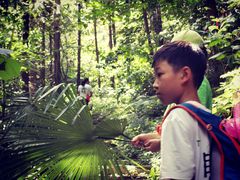 -素山寺森林公园