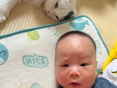 -PETKIT小佩宠物(昭化店)