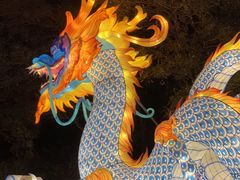 -欢乐海岸椰林沙滩-2025湾区超级灯会