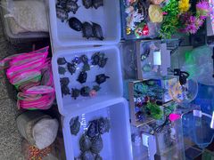 -宝鸡东道花鸟鱼虫市场(吉利花园商场店)