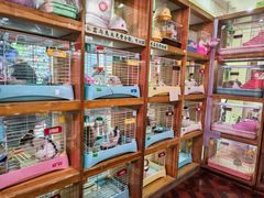 -宠物兔专门店(天丰利市场店)