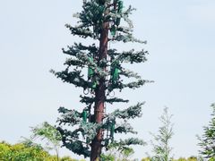 -养云安缦·廊