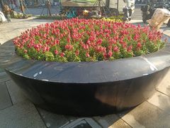 -瑞虹新天地月亮湾
