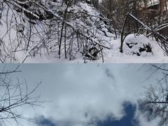 -峡谷浮石林景区