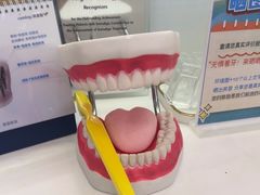 -维乐口腔(美维云门诊陆家嘴店)