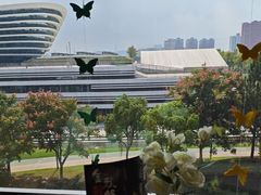 -雀蓝川菜(奥体广场店)