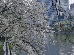 -西湖文化广场