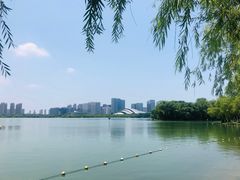 -天鹅湖体育公园