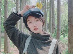 -青龙山国家森林公园