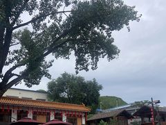 -百花人家(清水田园店)