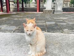 -四门塔风景区