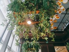 -陶苏·品味融合川菜(龙湖源著天街店)
