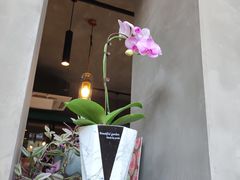 -十一咖啡(青年大街工厂店)