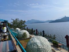 -望湖烤鱼