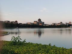 -莲花池公园