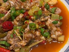 -新蜀会四川豆花(五羊店)