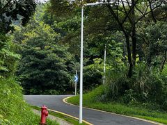 -黄埔油麻山森林公园