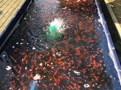 -白塘生态植物园