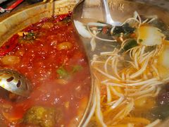 -小龙坎火锅(春熙太古里店)