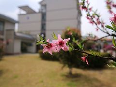 -江南大学(蠡湖校区)