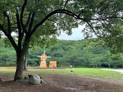-苏州上方山国家森林公园