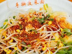 -手擀菠菜面(西康路店)