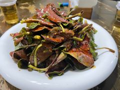凉拌折耳根-陈有良尖椒鸡(渝中示范店)