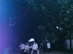 -鼎龙湾德萨斯水世界