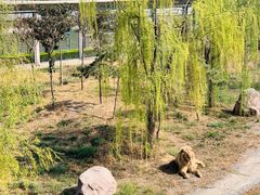 -五龙山野生动物王国