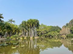 -中国科学院西双版纳热带植物园