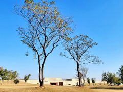 -盘龙城国家考古遗址公园