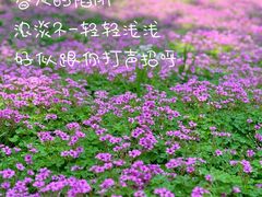 -COMMUNE幻师(天品西岸店)