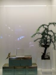 -栖SPA·ONDA ·海菲秀·皑皑科技美肤中心