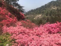 -木兰云雾山