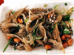 -陈添記·祖傳爽鱼皮·西关老字号(广州首店)