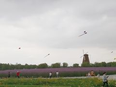 -漩门湾国家湿地公园