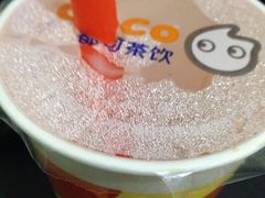 都可茶饮(文星广场店)-CoCo都可(文星广场店)