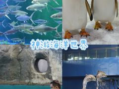 -威海华夏城景区