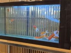 -菊上料理(蜀山银泰百货店)