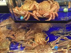 红毛蟹-蟹道乐(道顿堀本店)