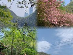 -黔灵山公园