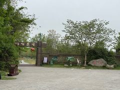 -泗洪洪泽湖湿地景区