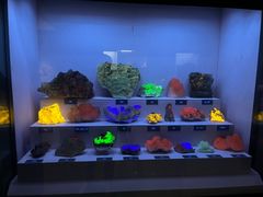 -湖南省地质博物馆